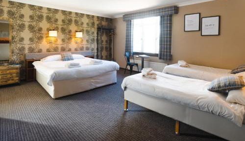 Superior Family Room