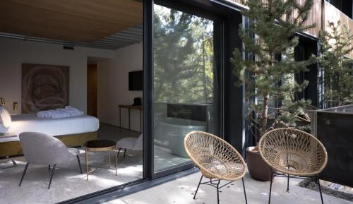 Junior Suite with Terrace