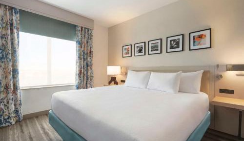 Junior King Suite with Sofa Bed