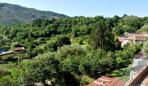 Double or Twin Room with Mountain View