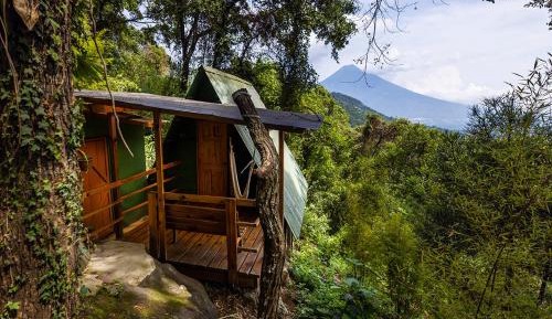 Double Room with Mountain View