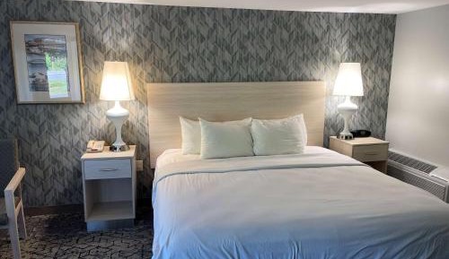 King Room (Not Pet-Friendly)