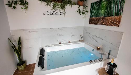 Holiday Home with spa access