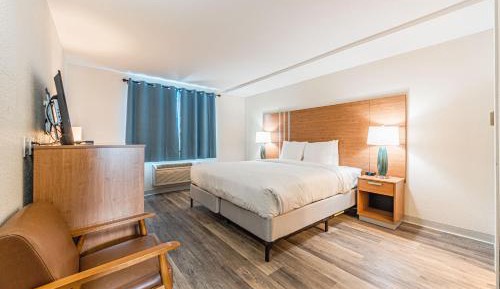 Deluxe King Room