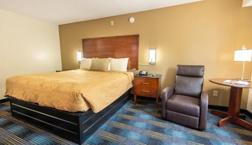 Single Room - Disability Access