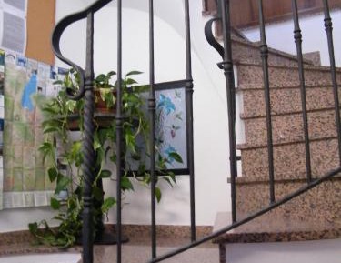 Family Studio
