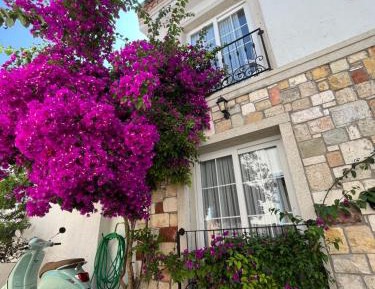 Budget Double or Twin Room