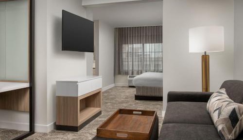 Large King Suite with Sofa Bed