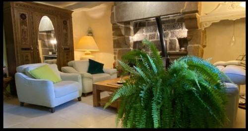 Family Room with Garden View