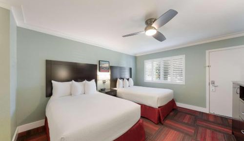 Double Room with Two Double Beds