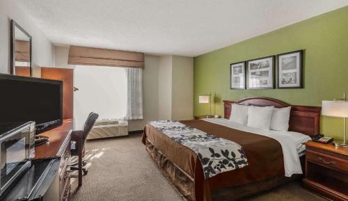 King Room - Non-Smoking