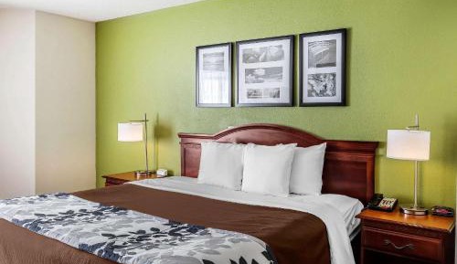 Queen Room First Floor - Accessible/Non-Smoking