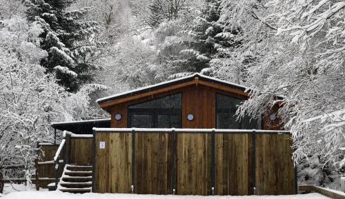 Lodge 16 (Superior Plus) - Sleeps 4, Gowns/Slippers, Pet Friendly, Hot Tub