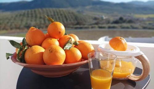 Studio with Mountain View