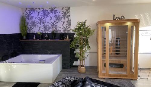 One-Bedroom Apartment with Spa Bath