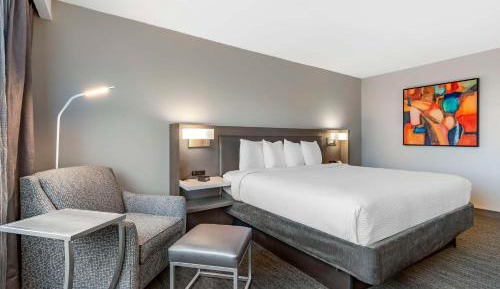 King Room - Non-Smoking