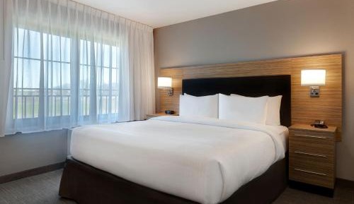 suite with 1 King, Sofa bed
