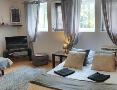 Apartment with Garden View
