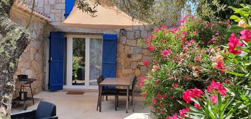 Studio with Garden View