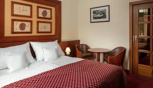 Comfort Double or Twin Room with Wellness Access