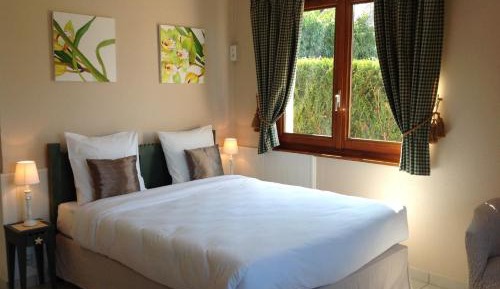 Superior Double Room with Park View