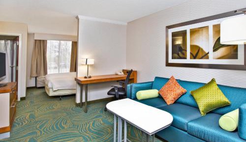 Executive King Suite with Sofa Bed
