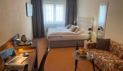 Deluxe Double or Twin Room with Garden View