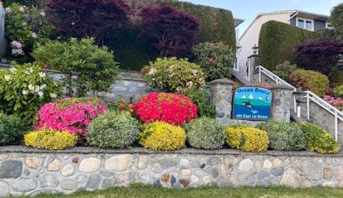 Deluxe Room with Ocean View