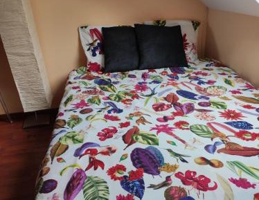 Standard Double Room with Shared Bathroom