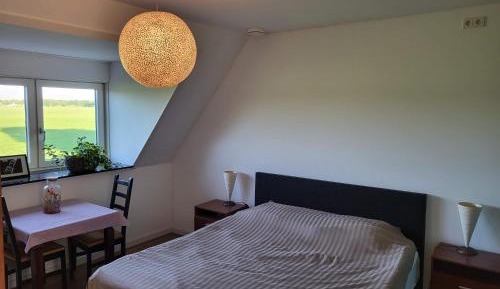 Deluxe Double or Twin Room with Garden View