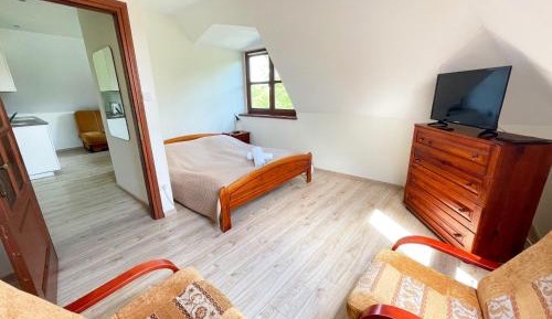 Two-Bedroom Apartment - Penthouse