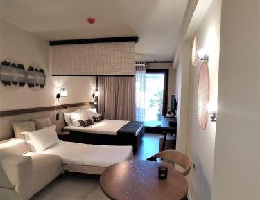 Studio with Sofa Bed