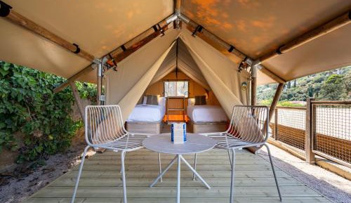 Tent