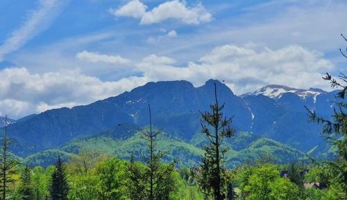 Three-Bedroom Chalet