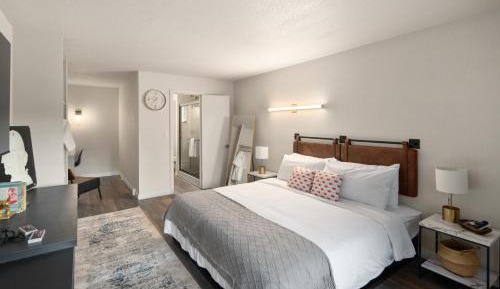 Deluxe King Suite