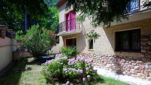 Studio with Garden View