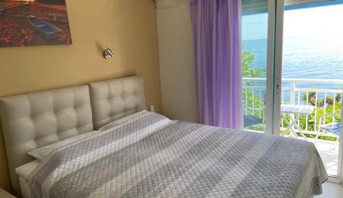 Standard Double or Twin Room with Garden View