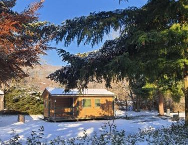 Two-Bedroom Chalet