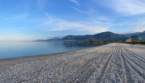 One-Bedroom Apartment (4 Adults)