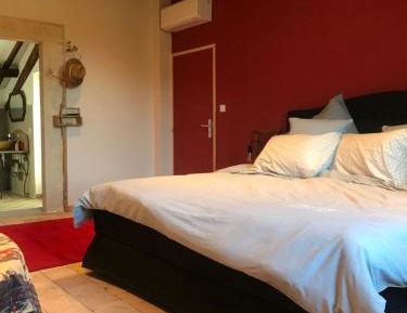 King Room with Garden View
