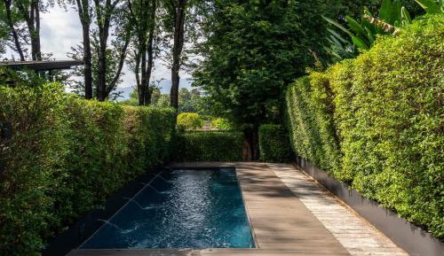 Pool Suite