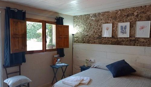 Superior Double or Twin Room with Terrace