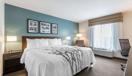 King Room - Non-Smoking