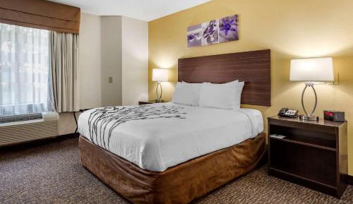 Queen Room - Accessible/Non-Smoking