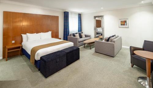 Standard Queen Room with One Queen and Two Sofa Beds