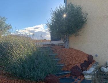 King Room with Garden View