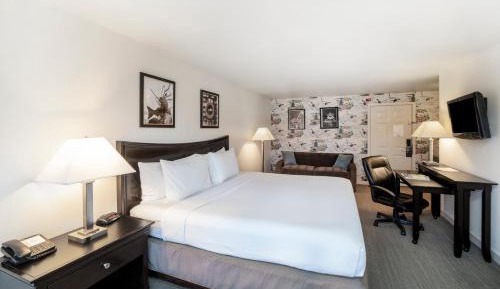 Deluxe King Room
