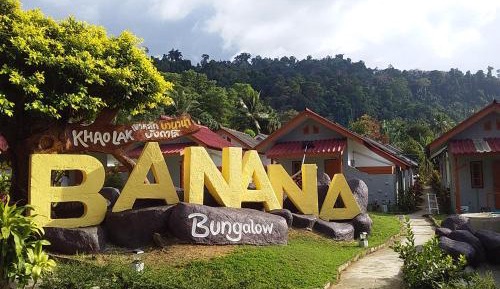 Standard Garden View