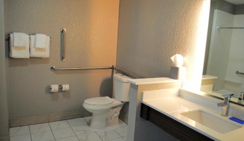 King Room with Roll-In Shower - Mobility Access