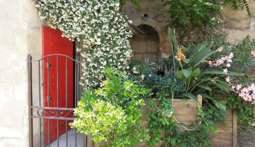 Apartment - Split Level